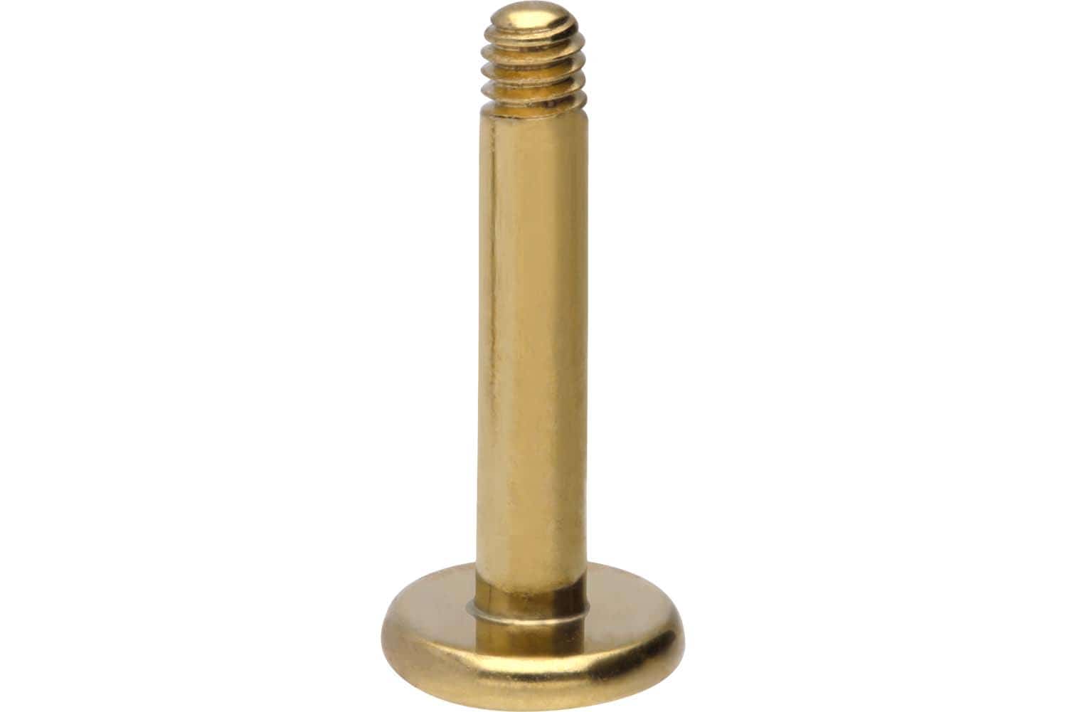 Chirurgenstahl Labret Piercing ohne Kugel
